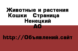 Животные и растения Кошки - Страница 3 . Ненецкий АО